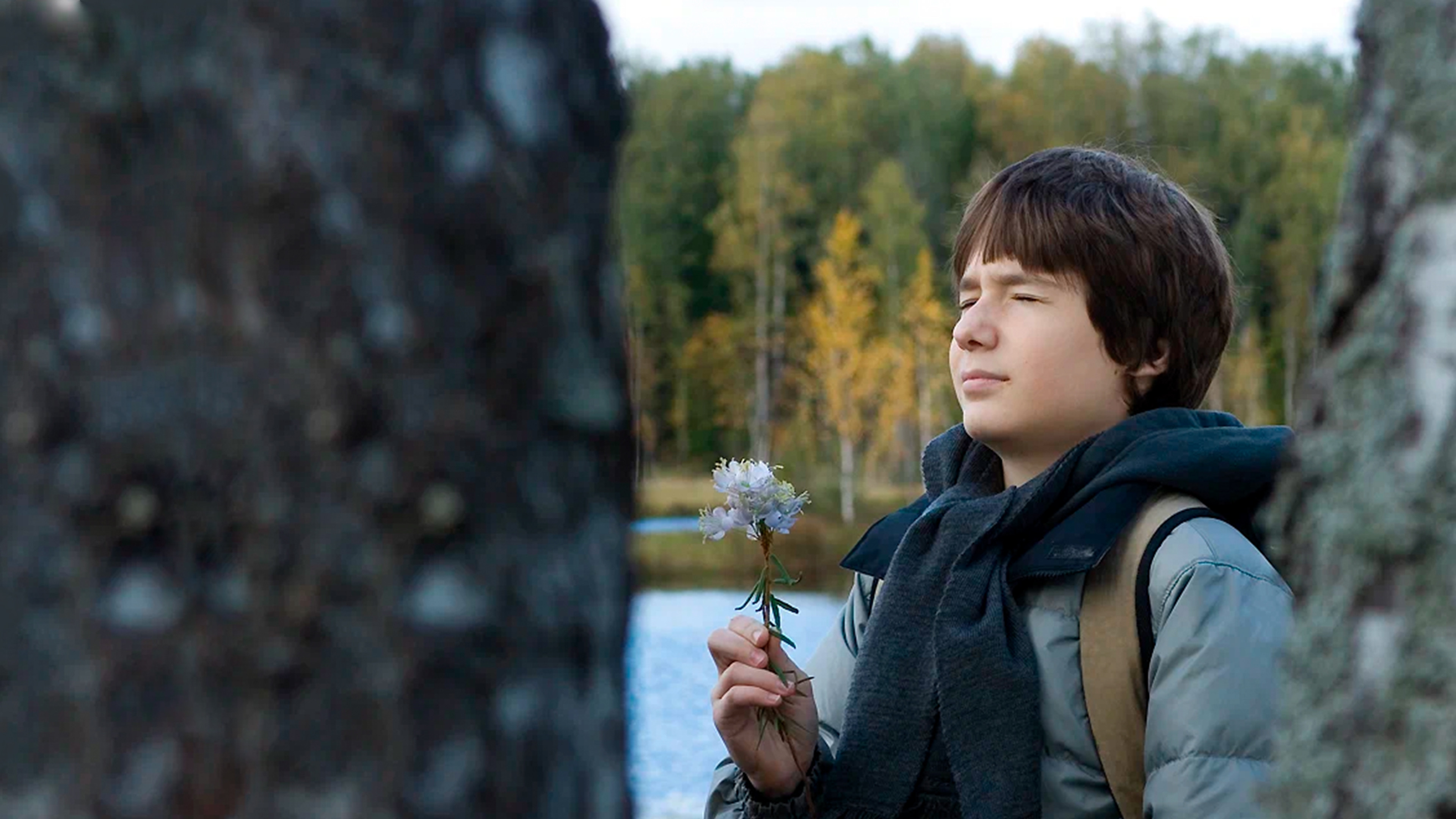 Когда зацветет багульник