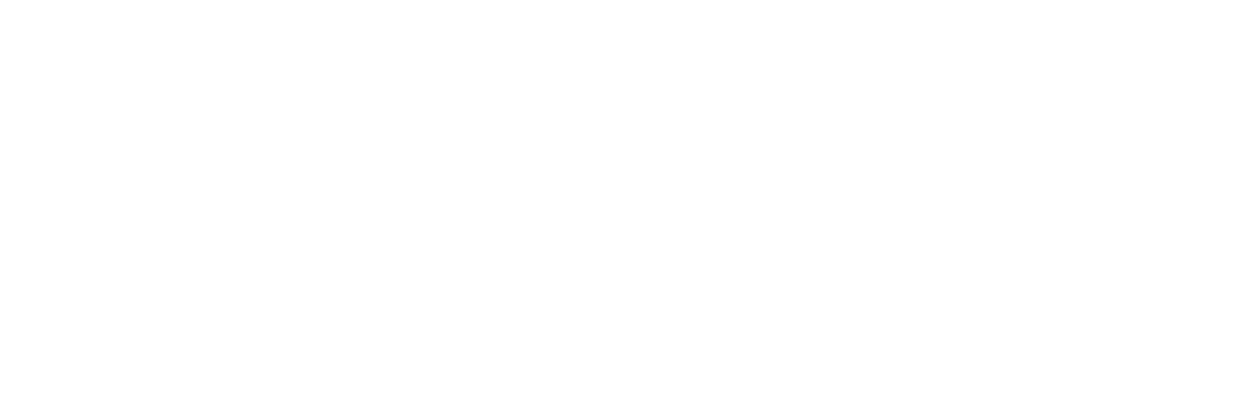 Позывной «Пассажир»