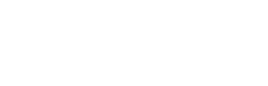 Позывной «Пассажир»