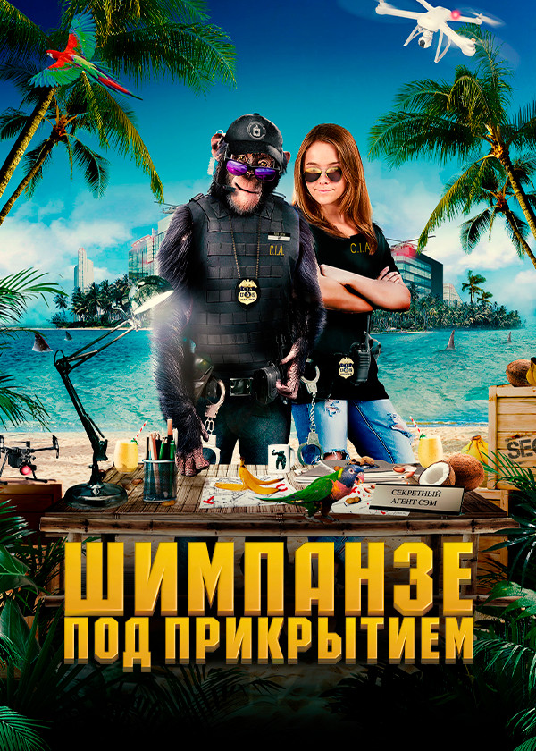 Шимпанзе под прикрытием