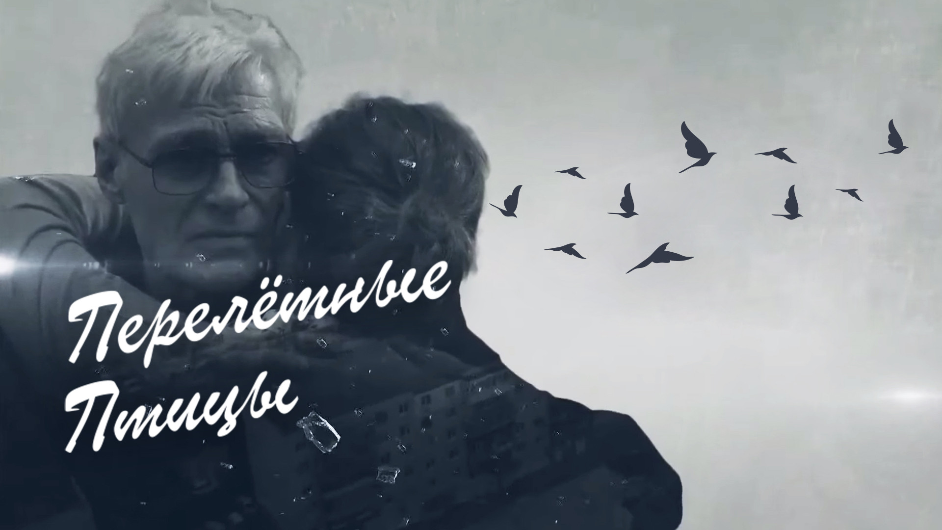 Перелётные птицы