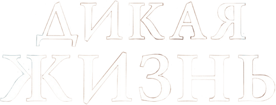 Дикая жизнь