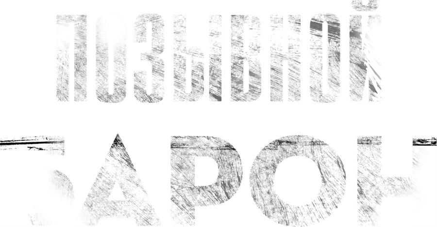 Позывной «Барон»