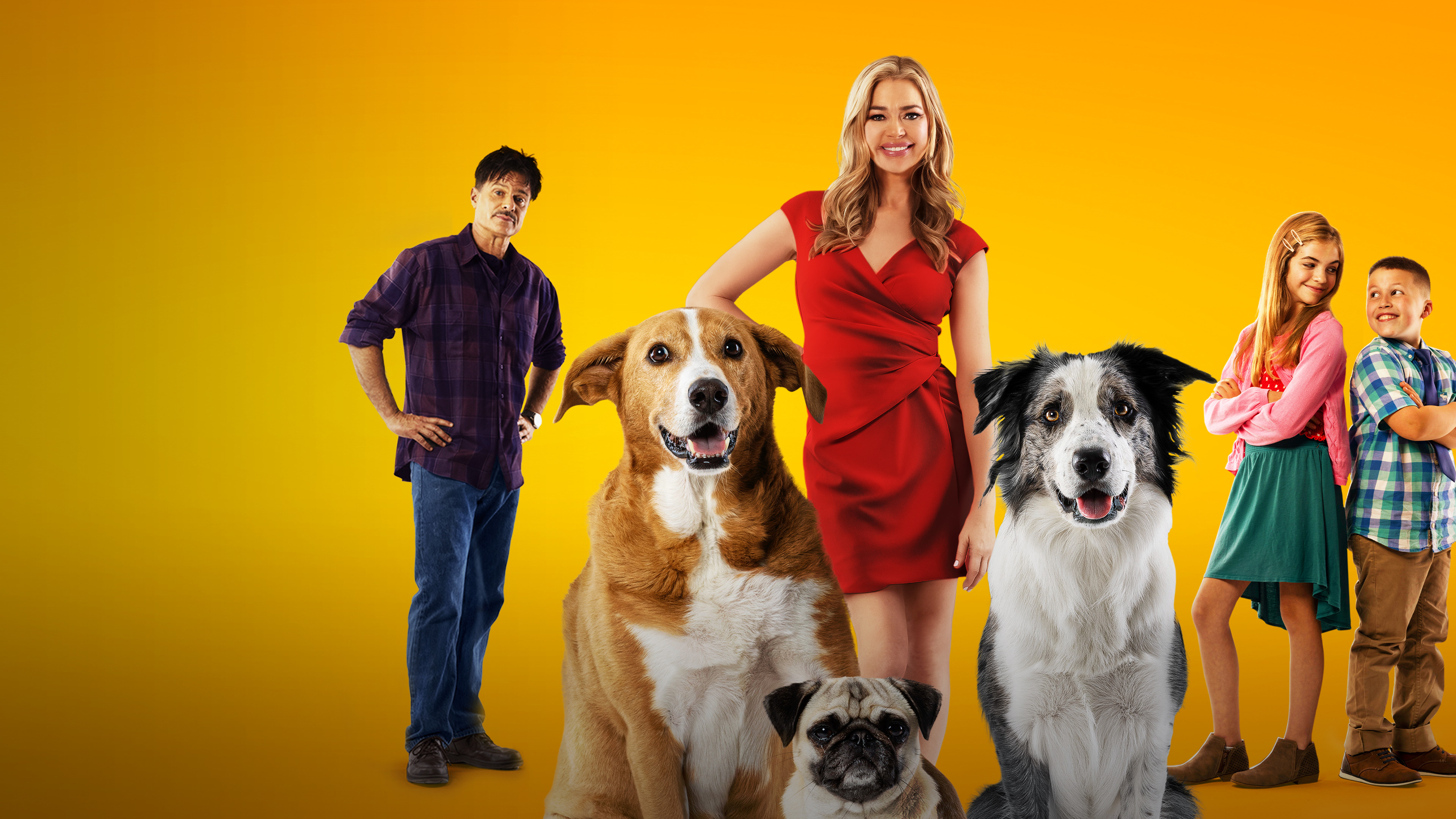 Лохматый патруль