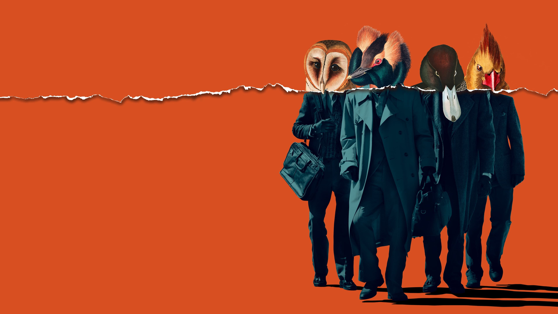 Американские животные