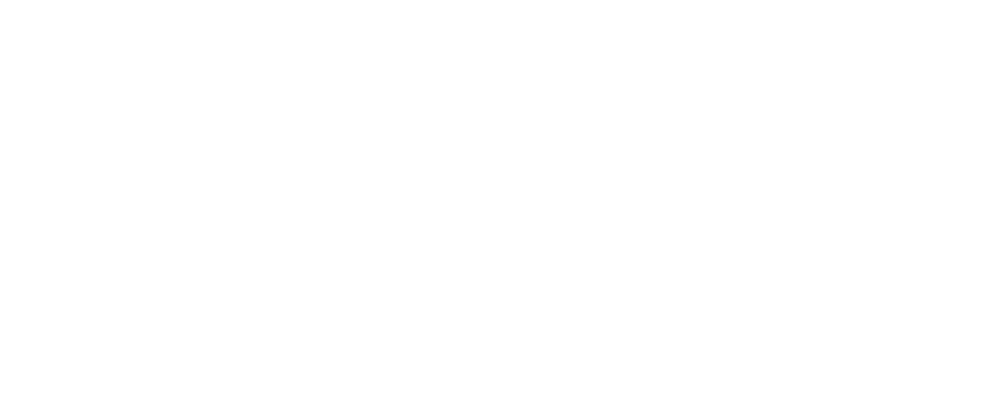 Нация воров