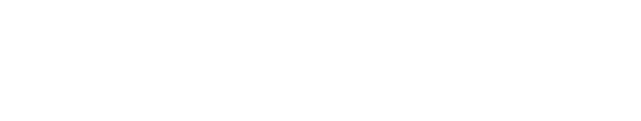 Щит Минервы