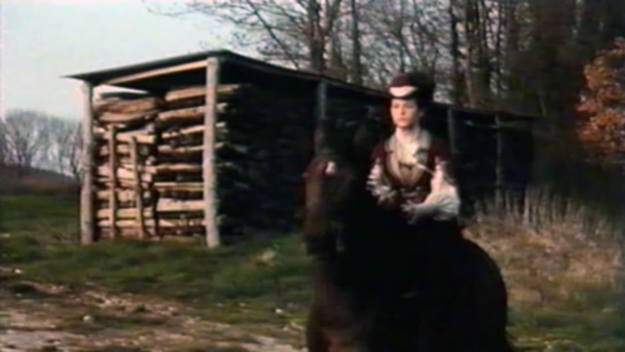 Альбер Саварюс