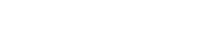 Новогодний рейс