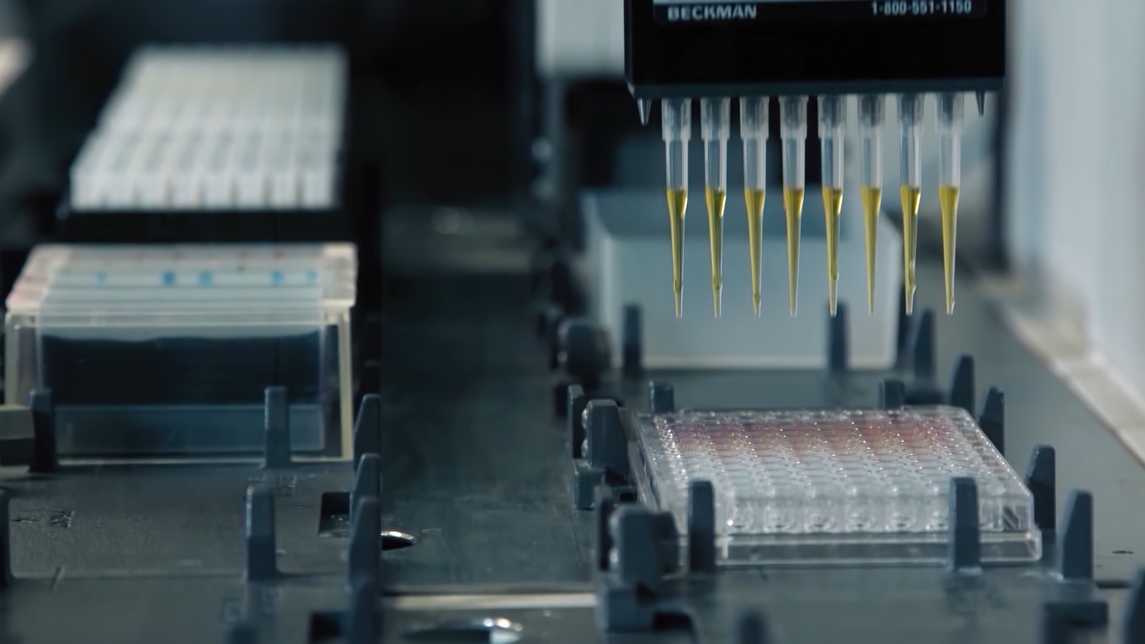 Остаться людьми