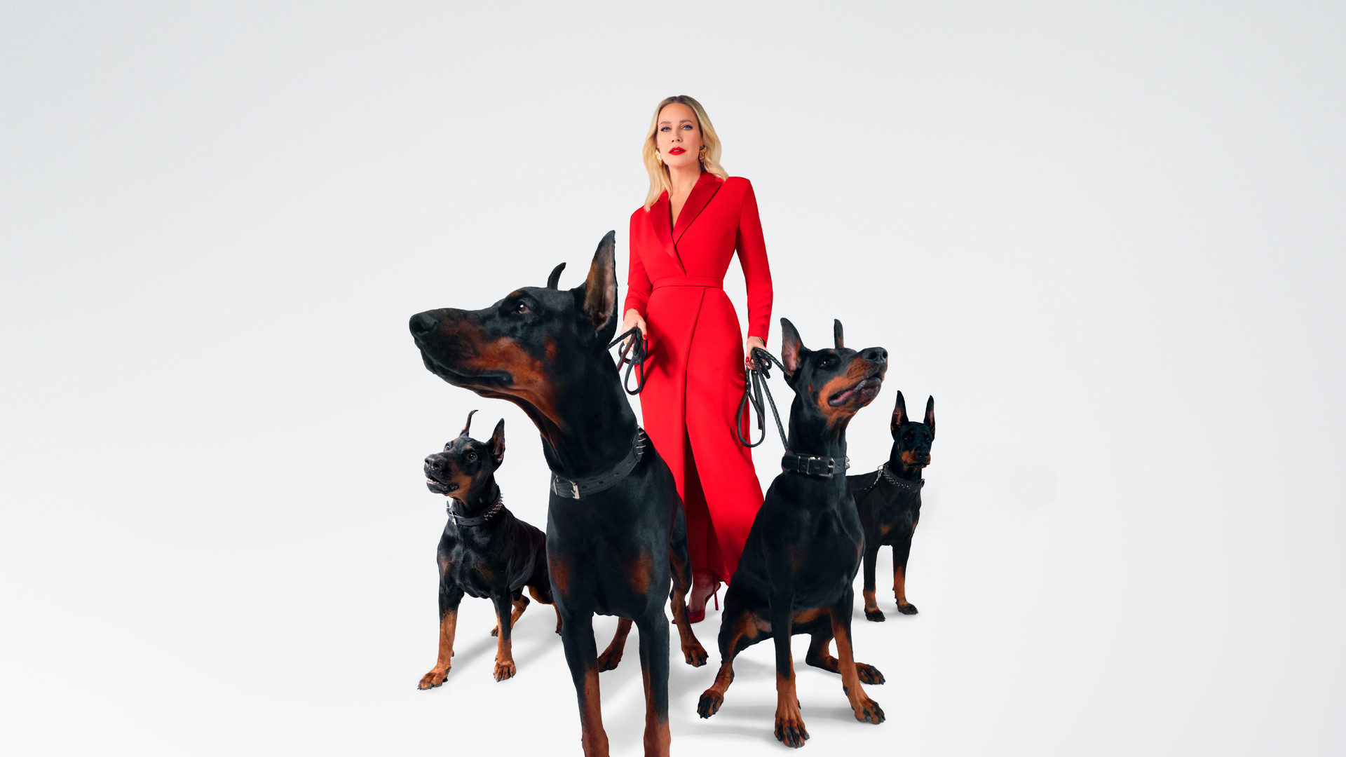 Новый Ревизорро