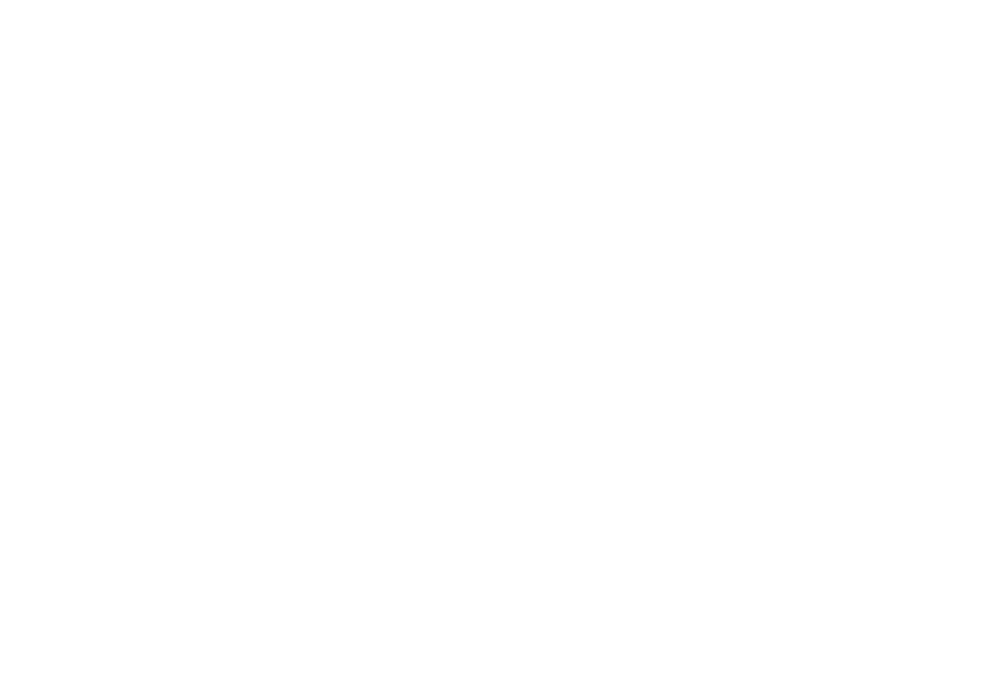 Зита и Гита