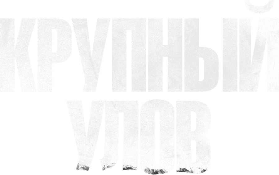 Крупный улов