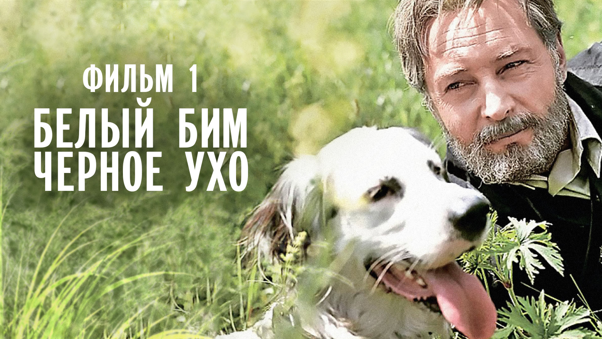 Белый Бим Черное ухо. Фильм 1