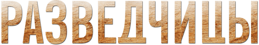 Разведчицы