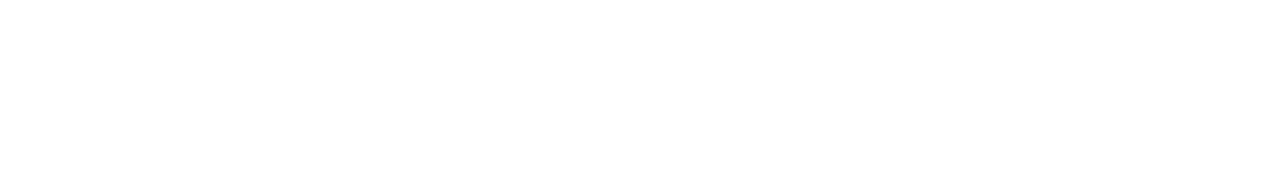 Чудо на Гудзоне