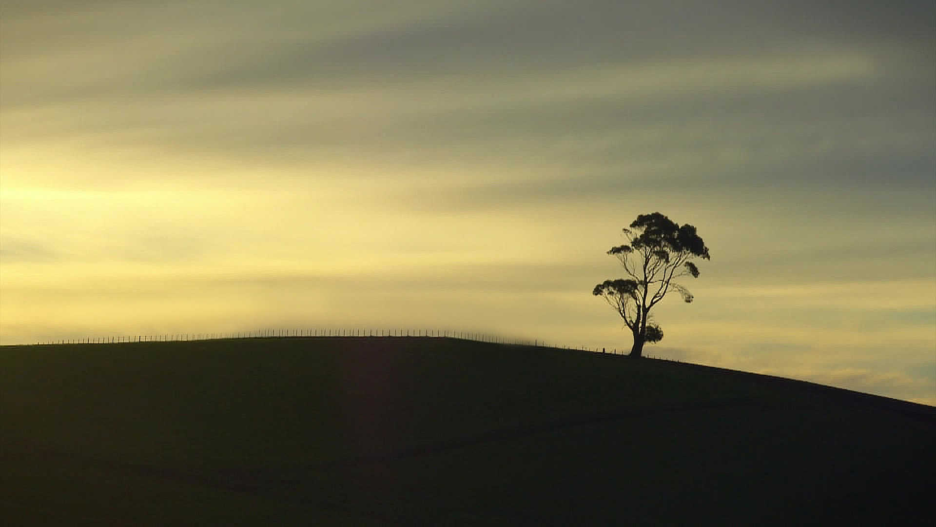 Тасмания на вкус