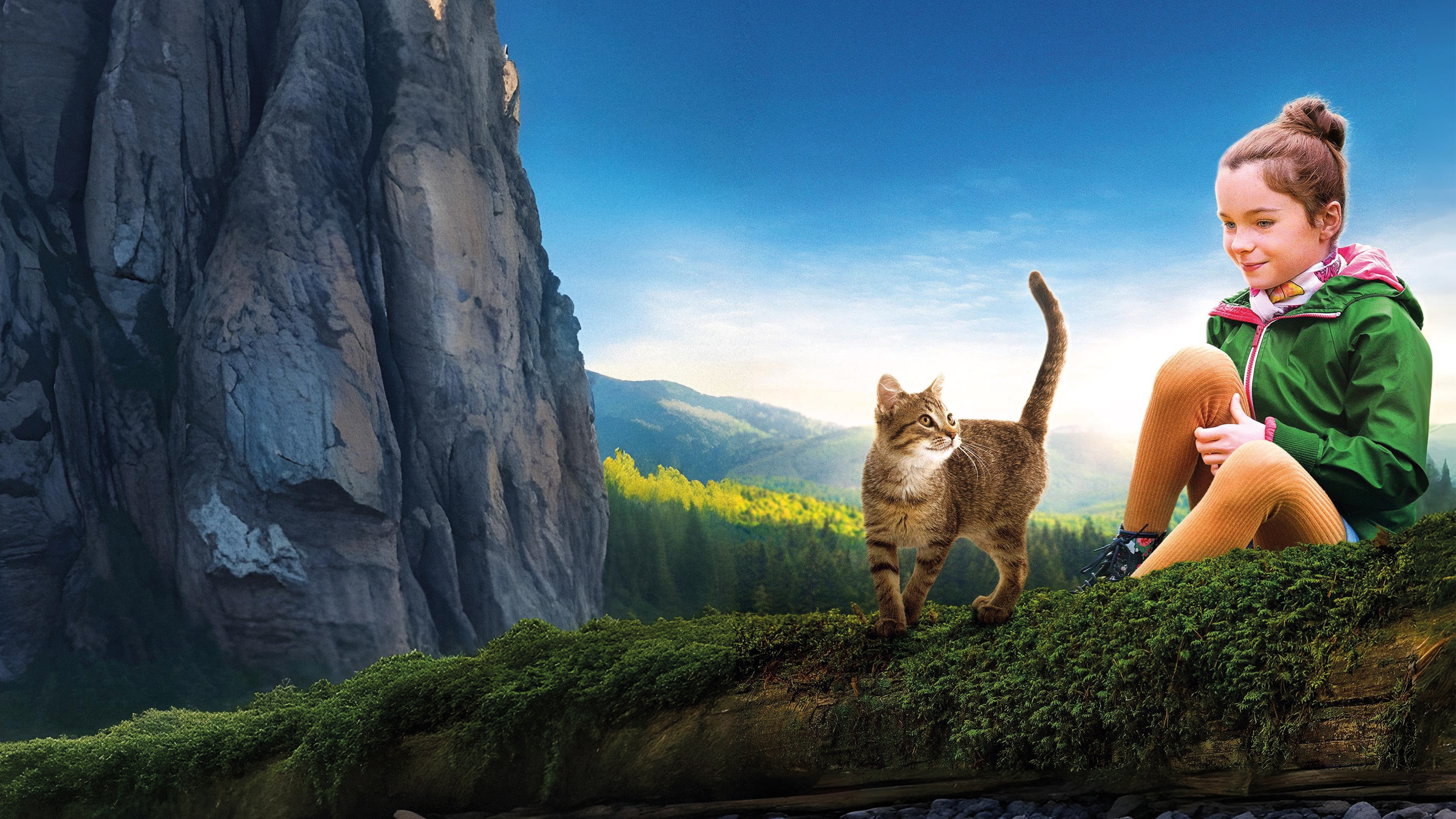 Мой котик и я