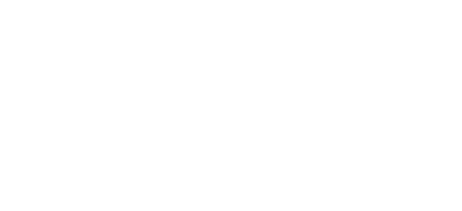 Новая жена