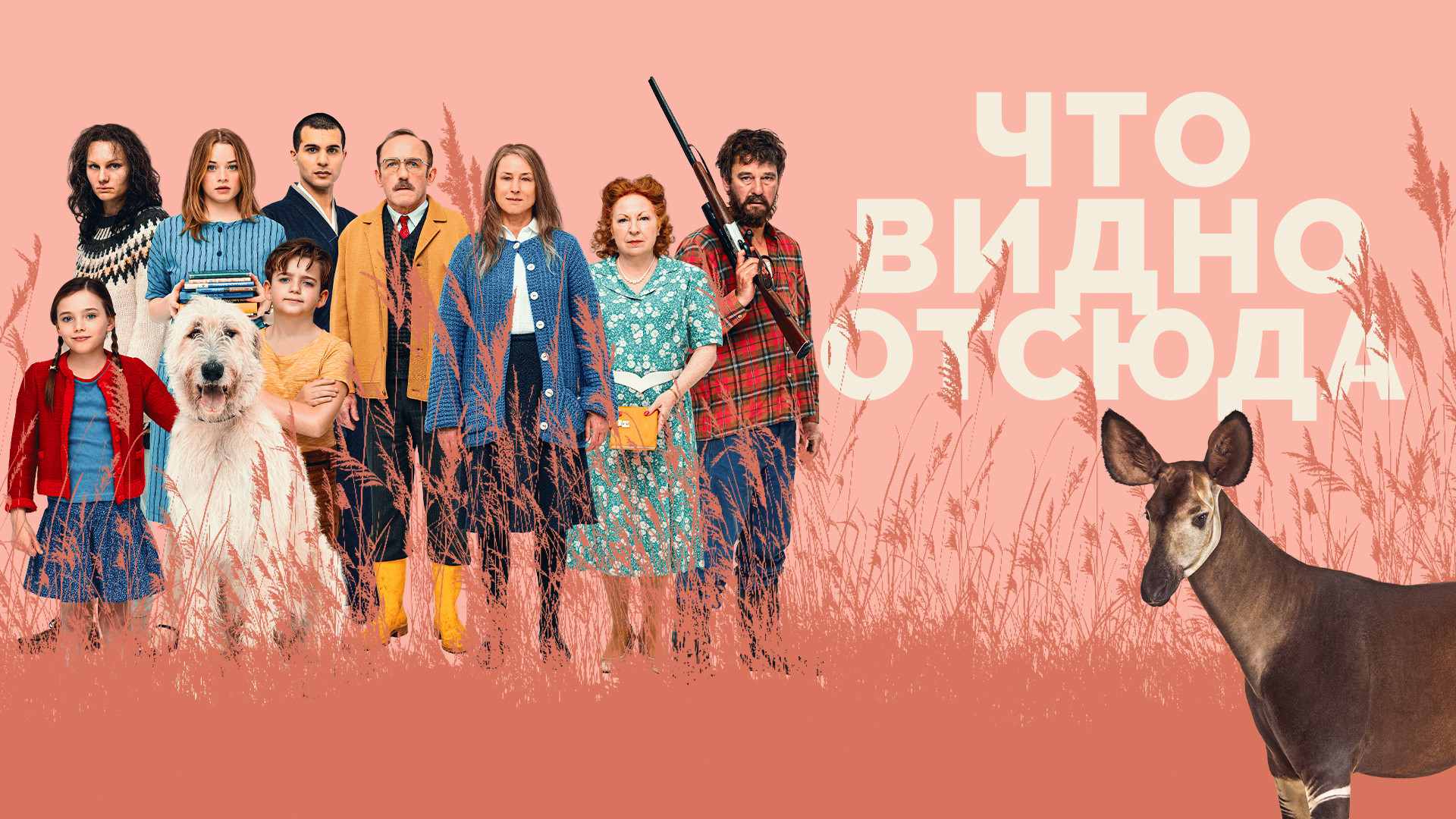 Что видно отсюда