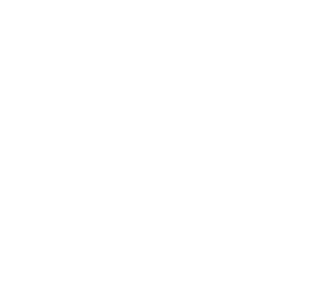 Четвертая смена