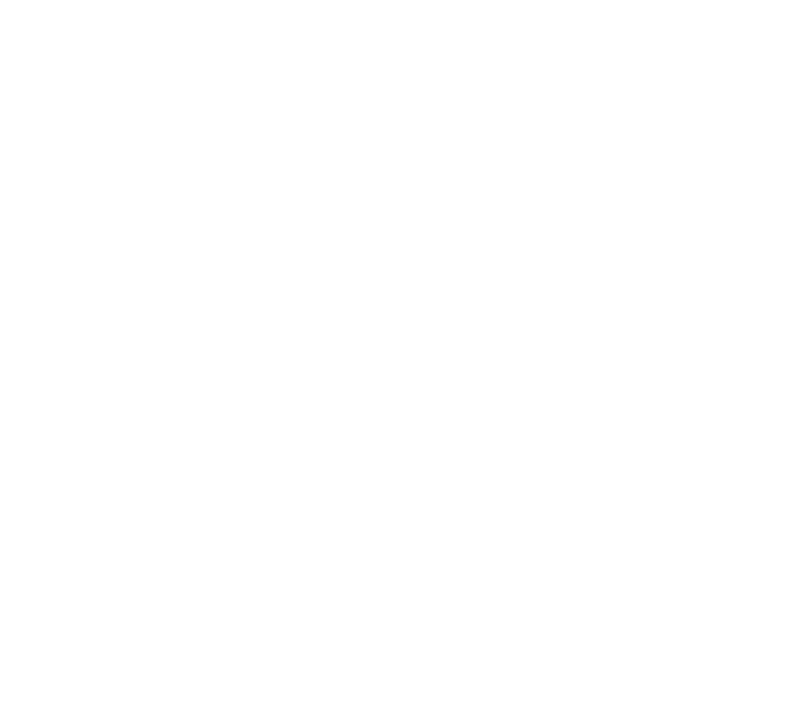 Четвертая смена