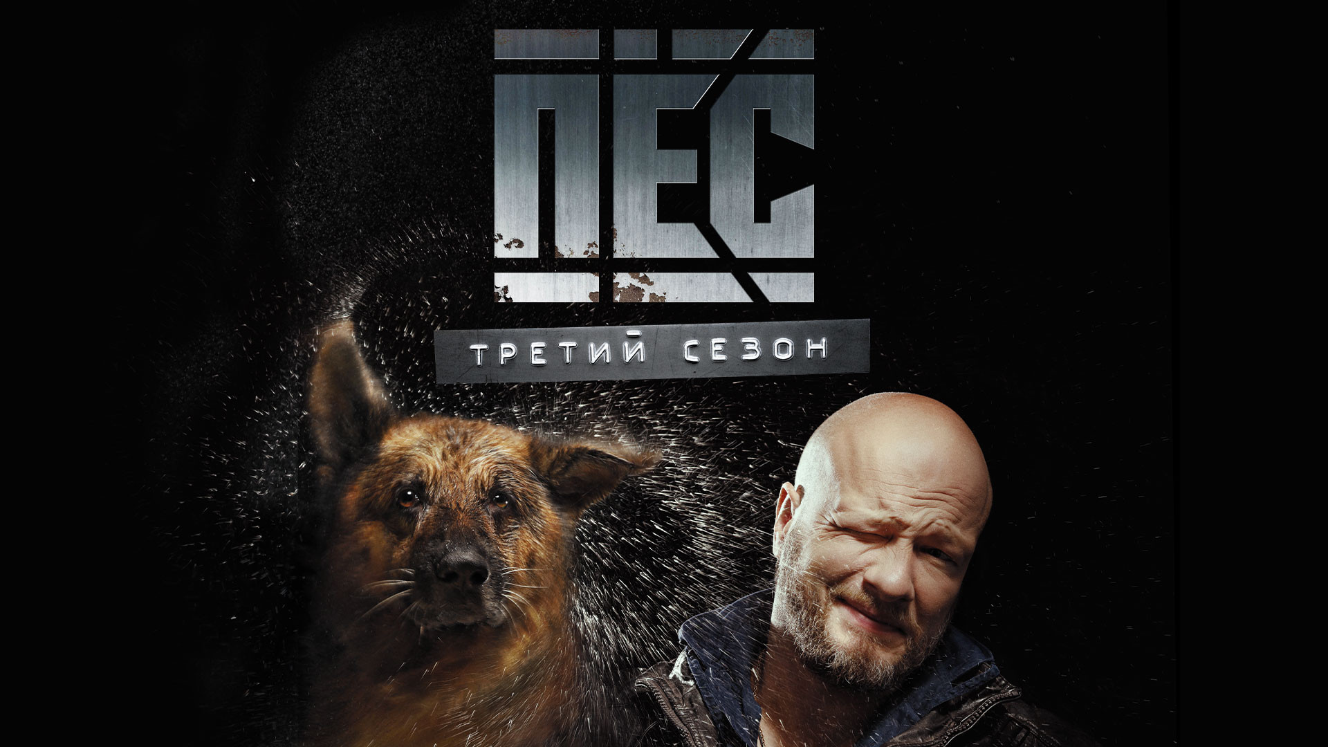 Пес 1 2 3 4. Пёс (НТВ) (7 сезон) (2021). Пёс сериал. Пёс 5 сезон. Пёс сериал на дивиди.