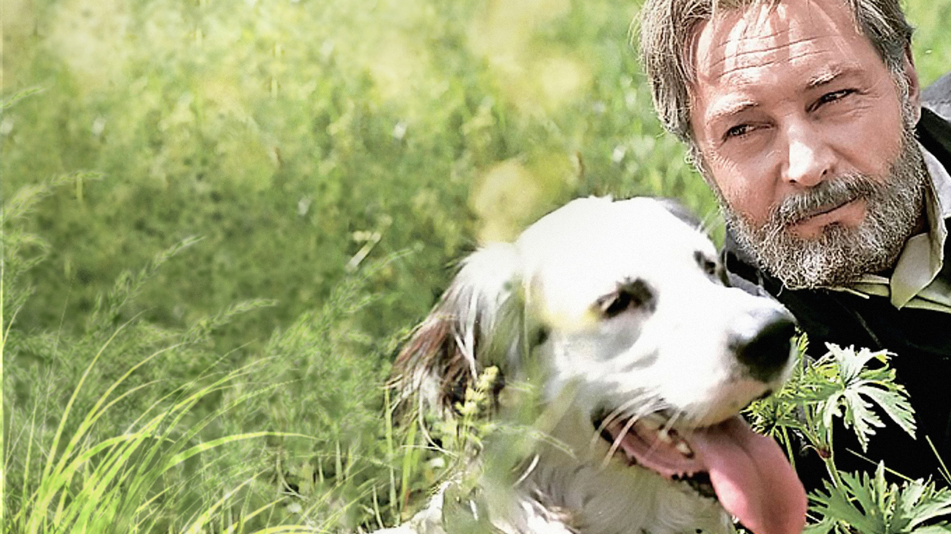 Белый Бим Черное ухо. Фильм 1