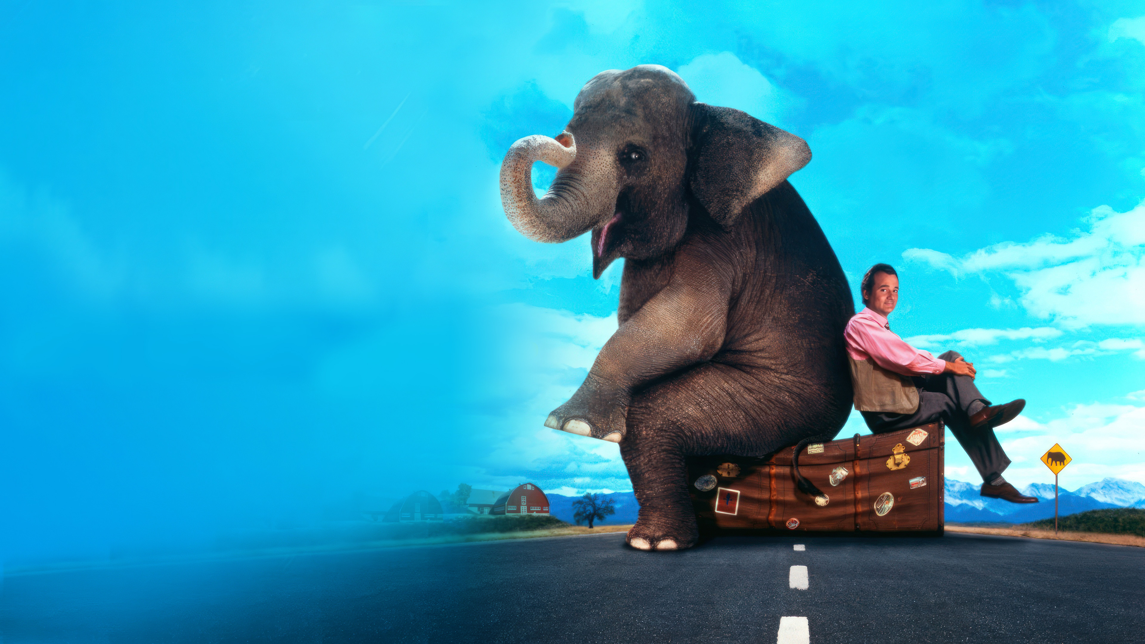 Больше чем жизнь