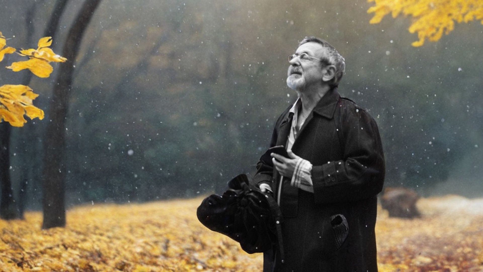 Последняя осень юности