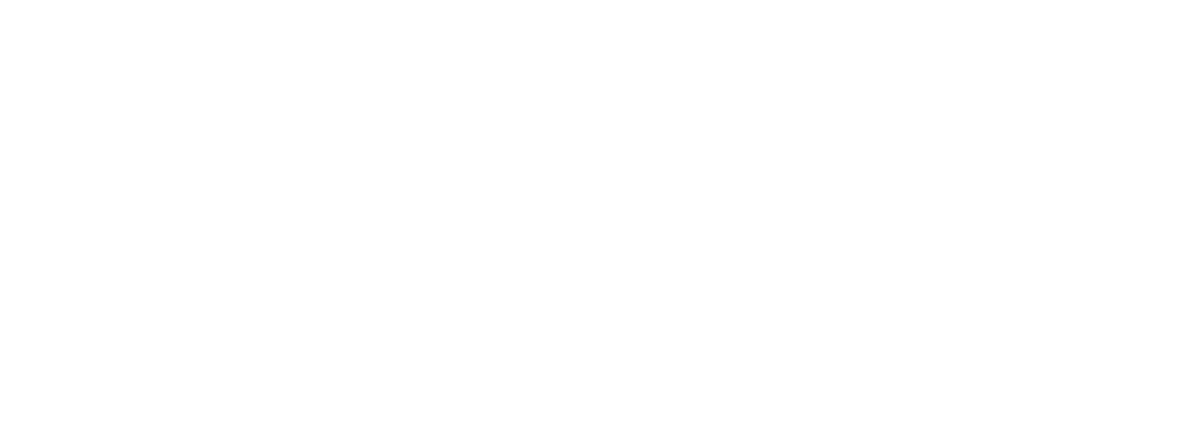 Ночные налётчики