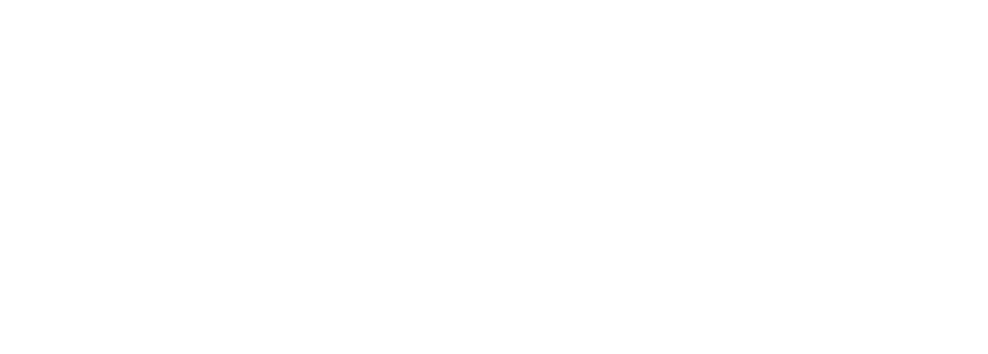 Ночные налётчики