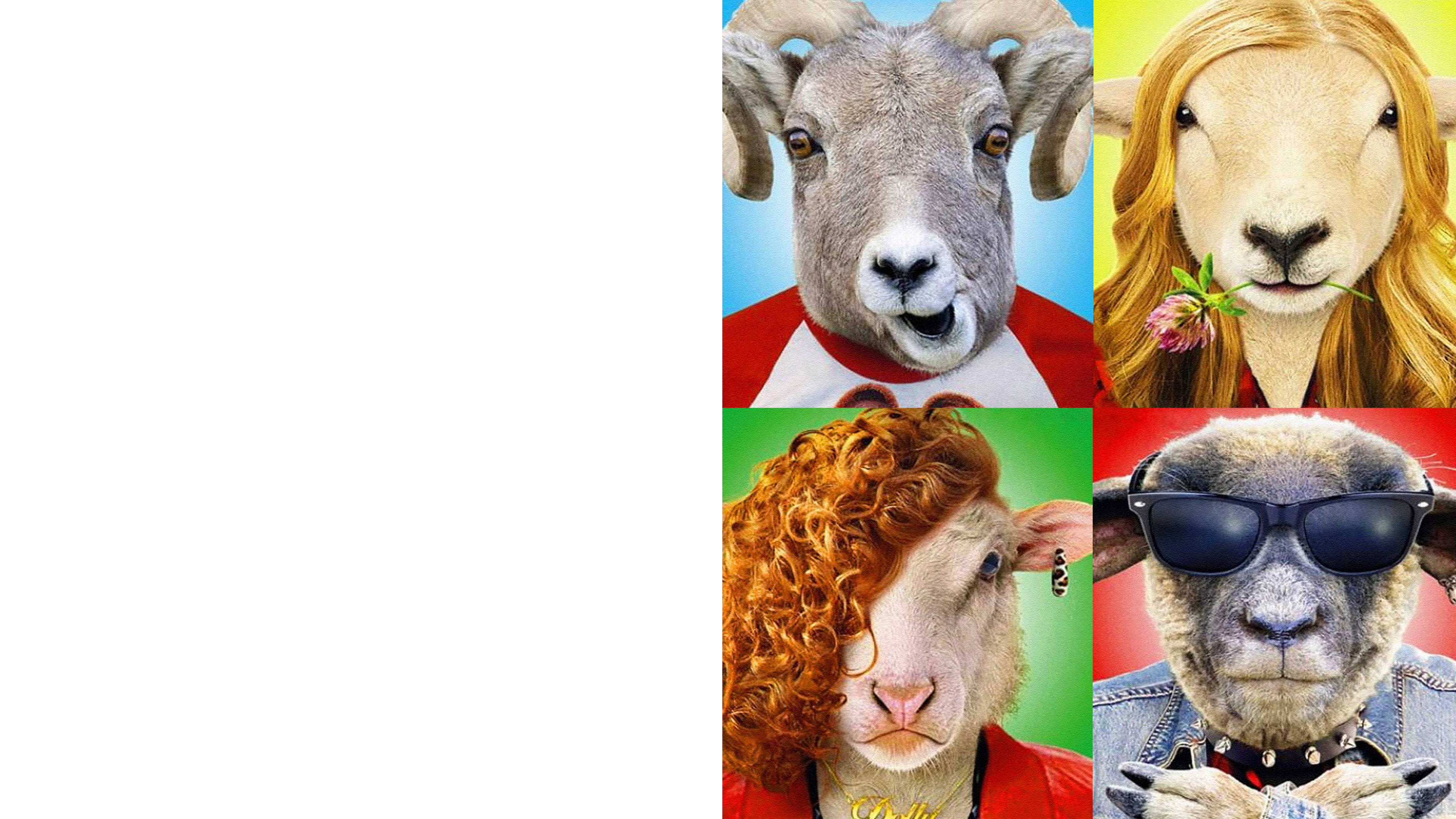 Овечка Долли была злая и рано умерла