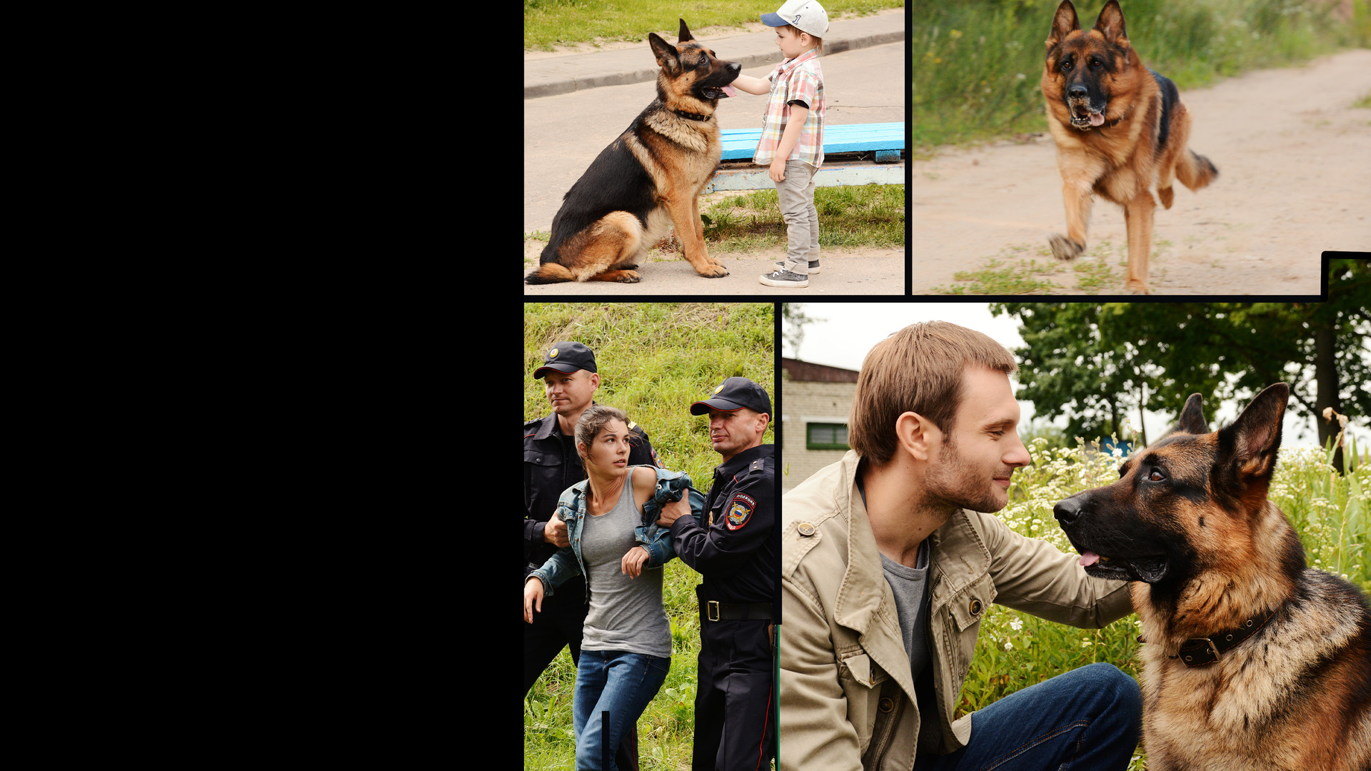 Мухтар. Новый след