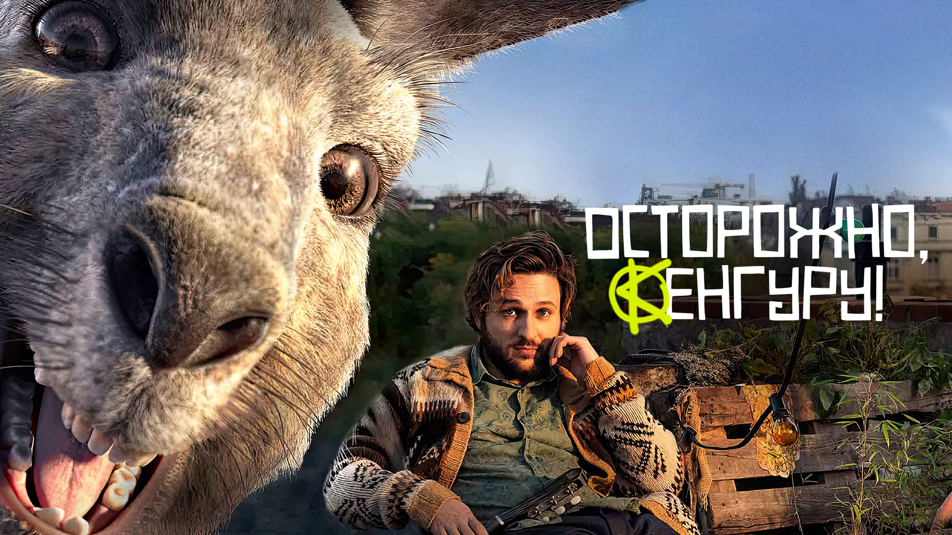 Осторожно, Кенгуру!