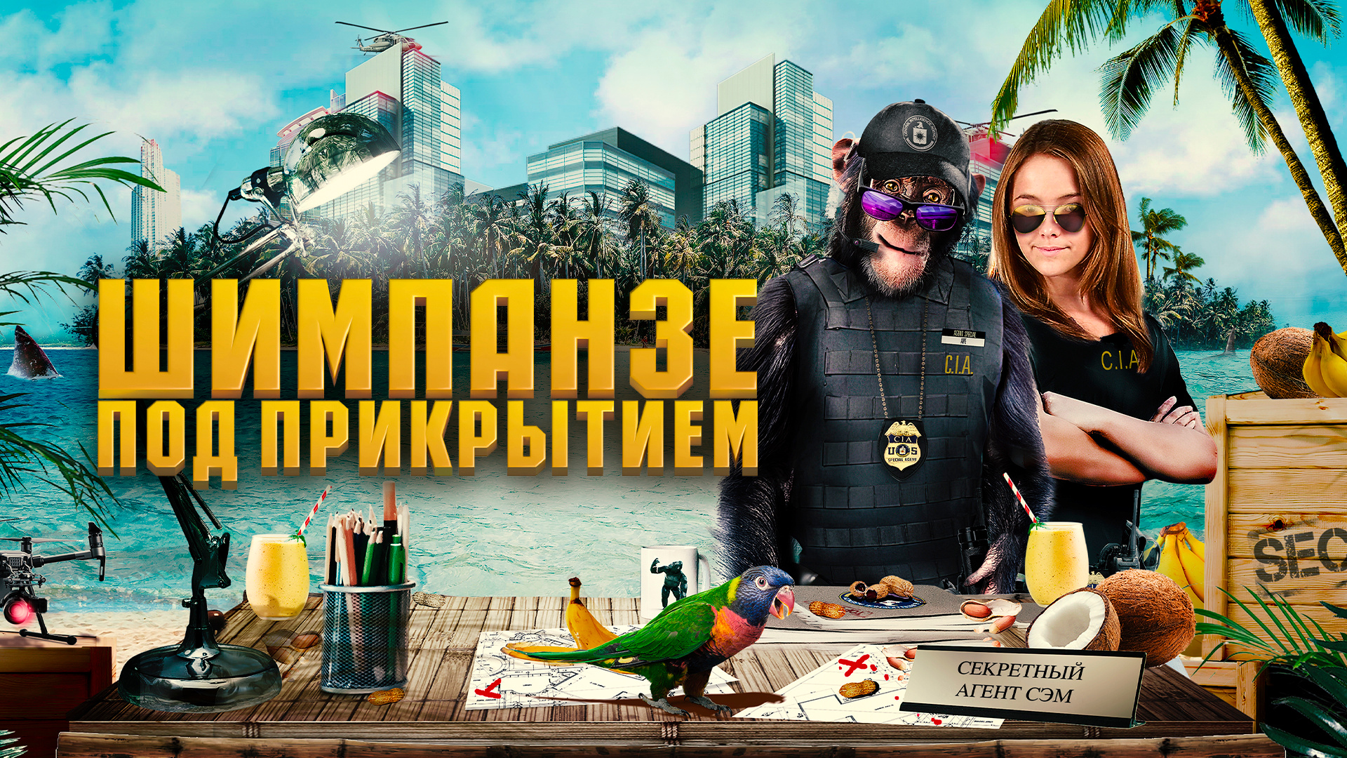 Шимпанзе под прикрытием