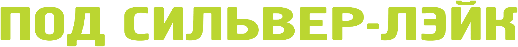 Под Сильвер-Лэйк