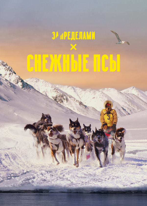 Снежные псы смотреть на TV+