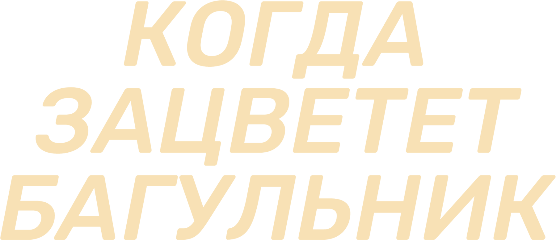 Когда зацветет багульник