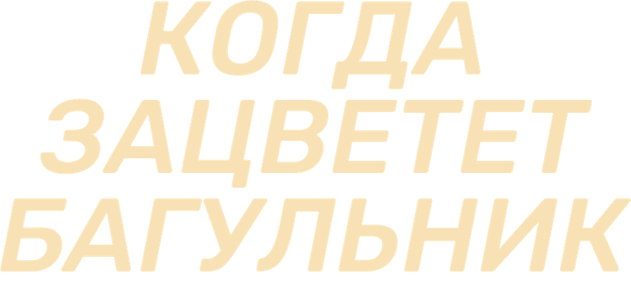 Когда зацветет багульник