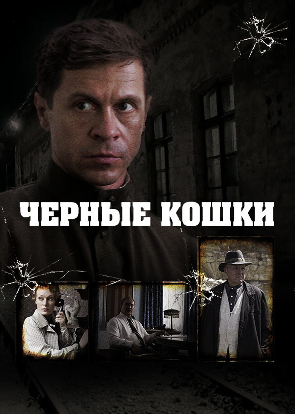 Черные кошки