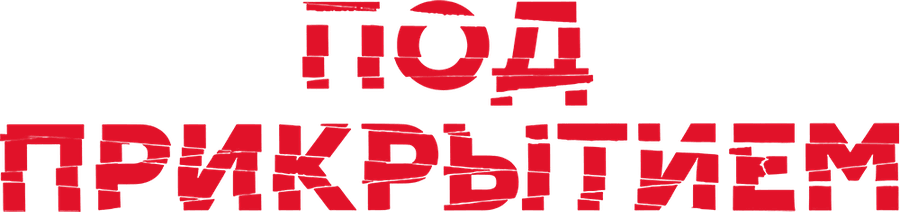 Под прикрытием (2020)