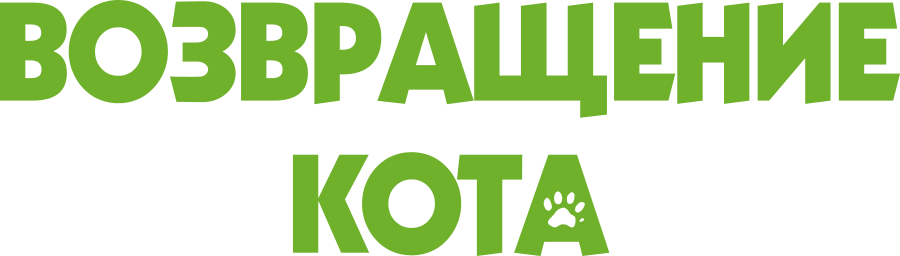 Возвращение кота