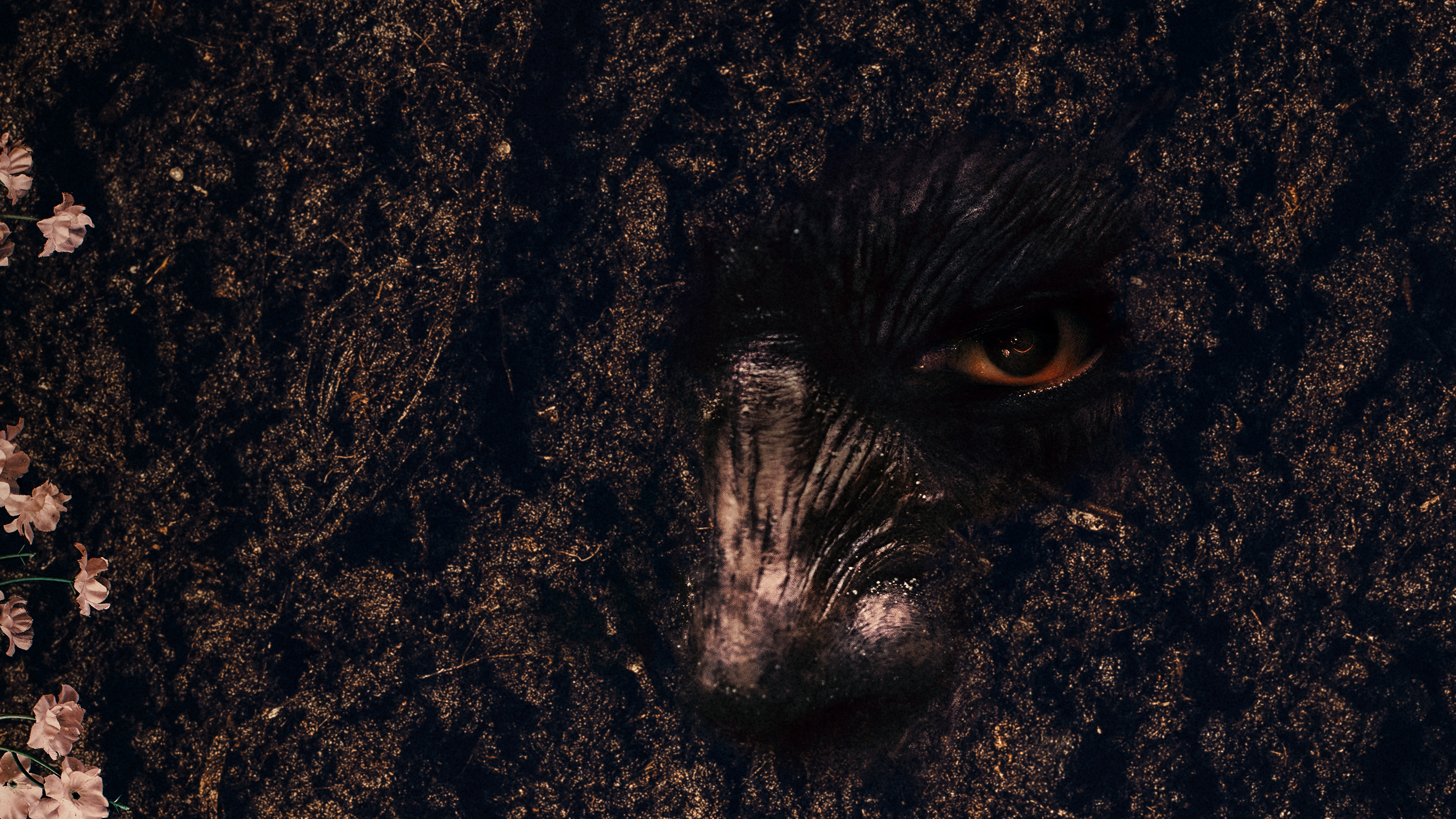 Проклятие «Зов могилы»