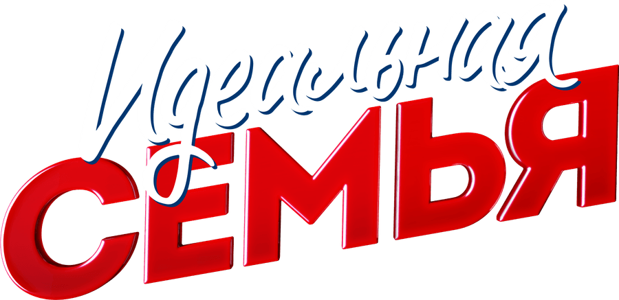 Идеальная семья