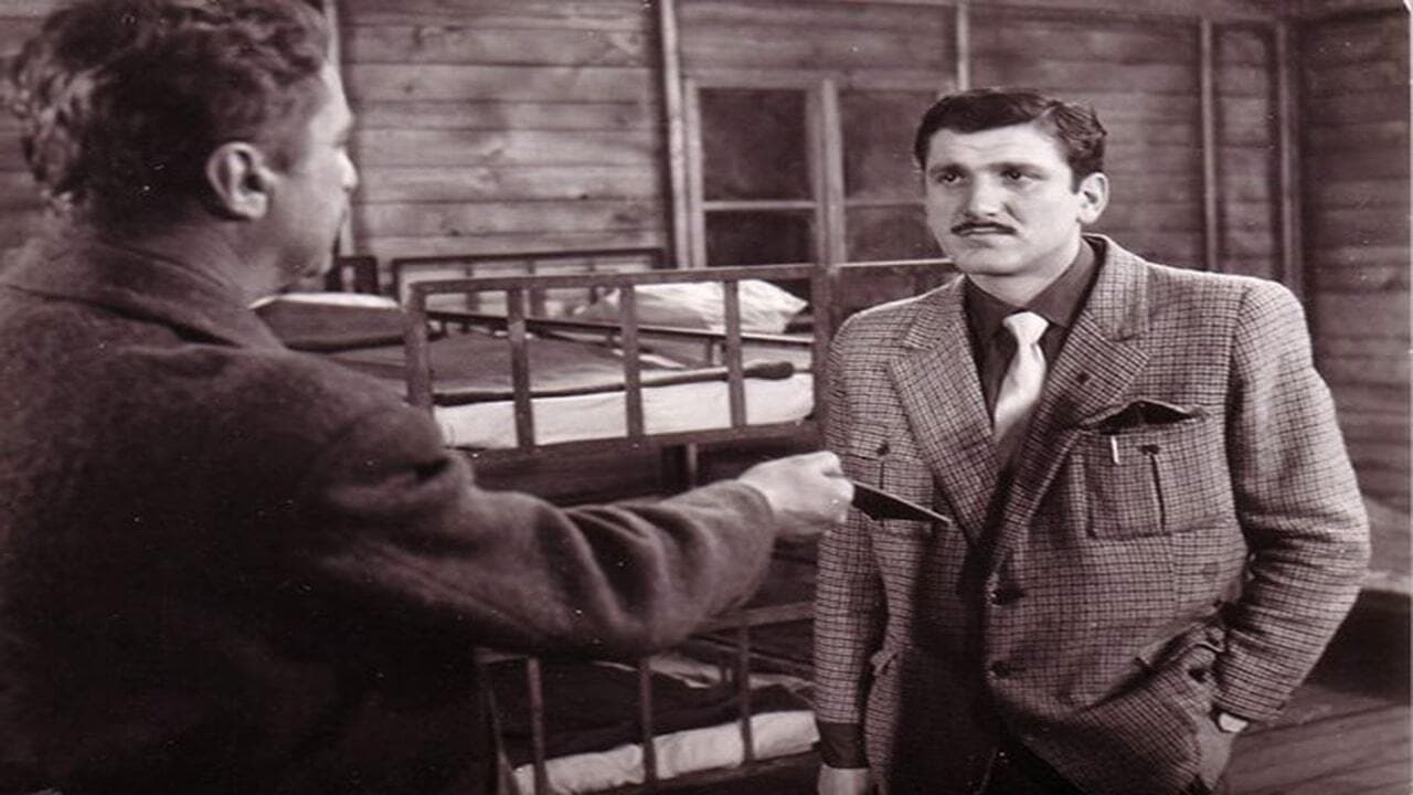 Бурлящий город