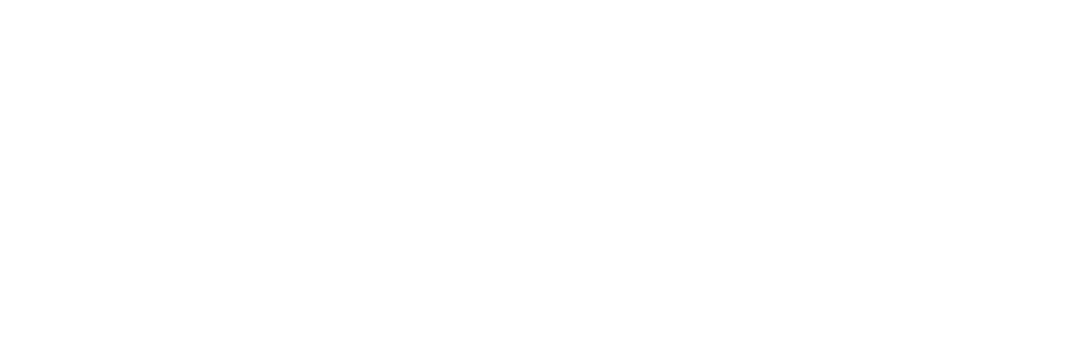 Дорогой Вилли