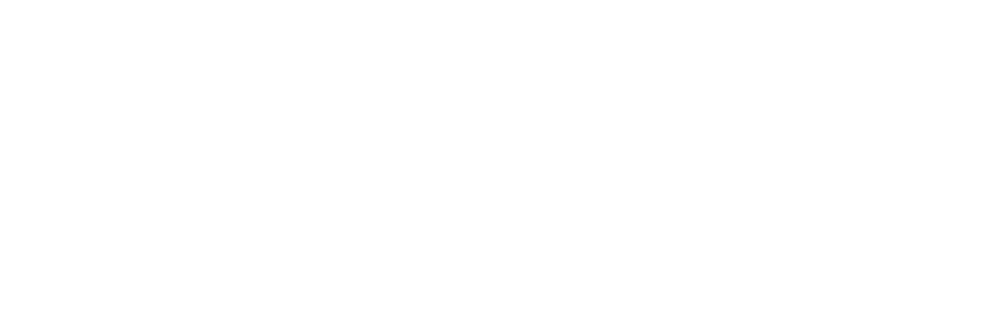 Дорогой Вилли