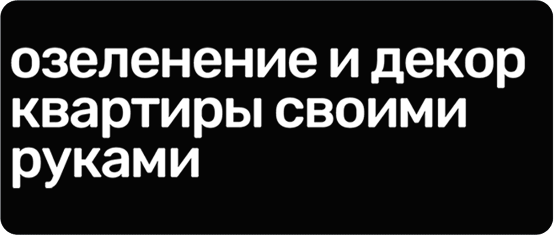 Озеленение и декор квартиры своими руками