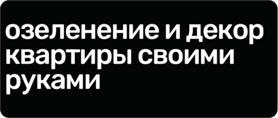 Озеленение и декор квартиры своими руками